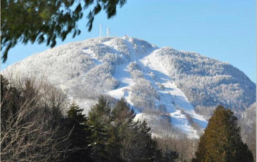 Condo Hotel Au Pied Du Mont Orford Екстериор снимка