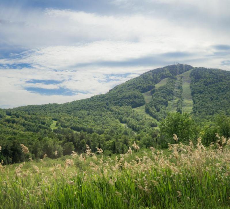 Condo Hotel Au Pied Du Mont Orford Стая снимка